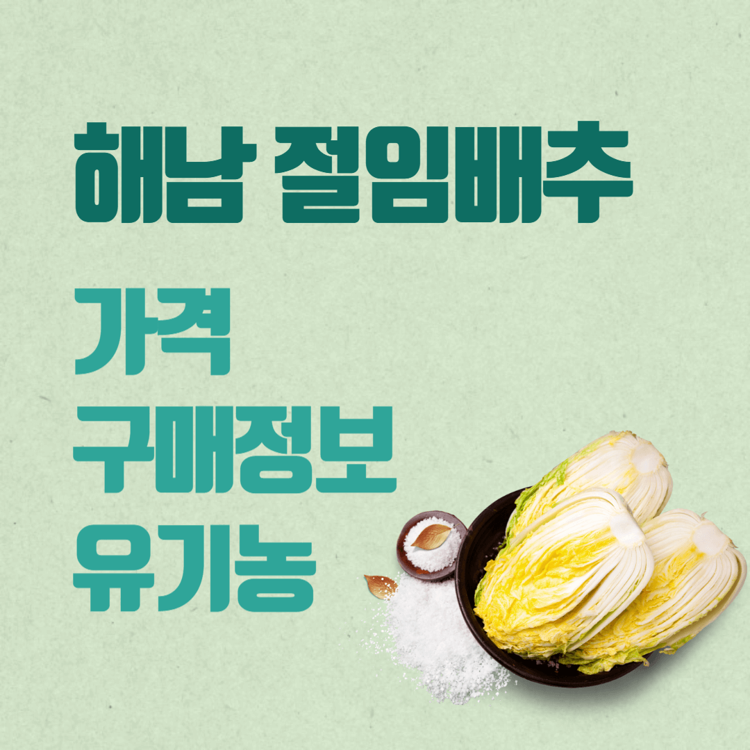 해남 절임배추 가격 구매 정보 유기농