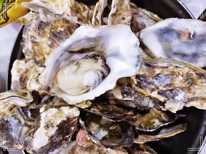 현장치GO 굴삼합 굴무침 생굴 굴전 굴솥밥 개체굴 양식 전국 택배 전화 주문 통영 맛집 추천