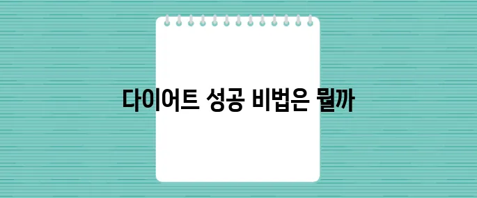 효과적인 다이어트 식단과 함께 사용하는 다이어트약 추천