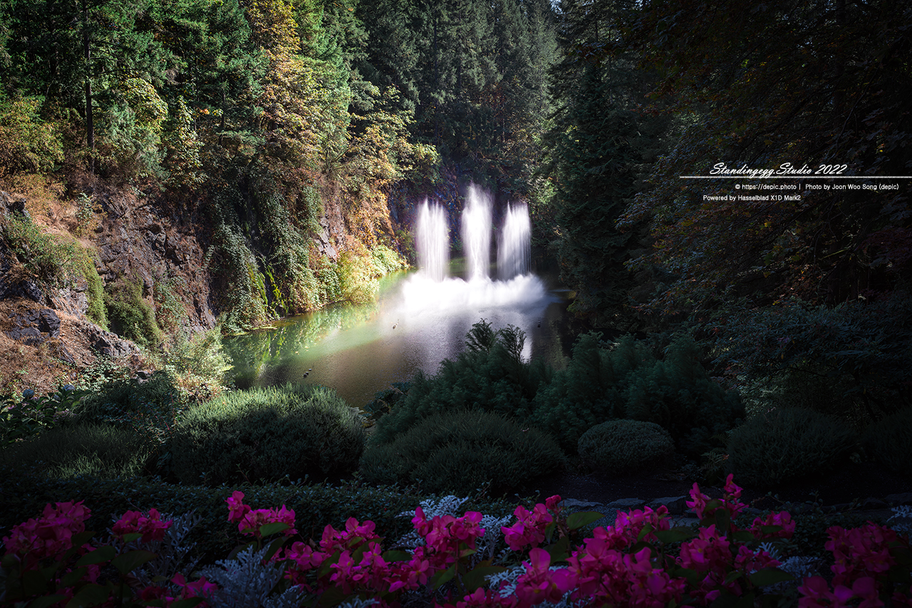 #캐나다 #밴쿠버섬 #호텔 #의사당 #부차드가든 #캐나다여행