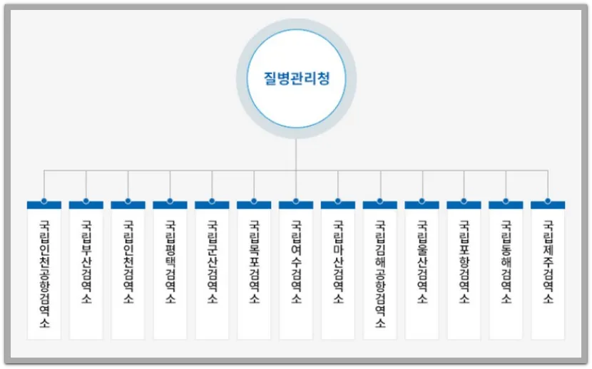 뎅기열 검사