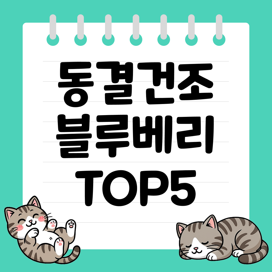 상큼한 풍미가 살아있는 동결건조 블루베리 추천 순위 TOP5