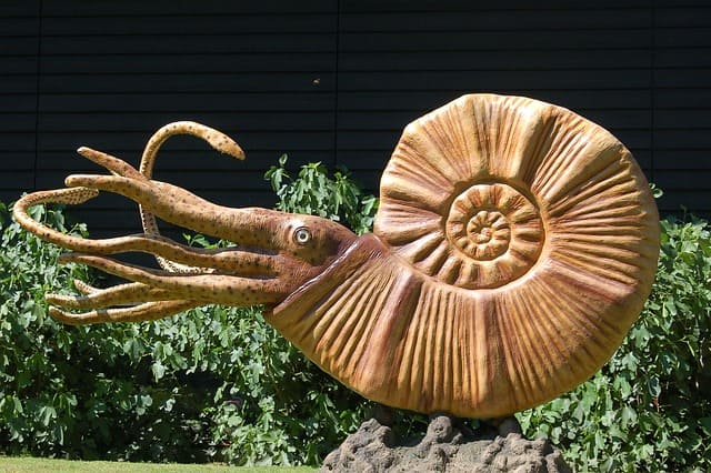 전 세계의 공룡 발견