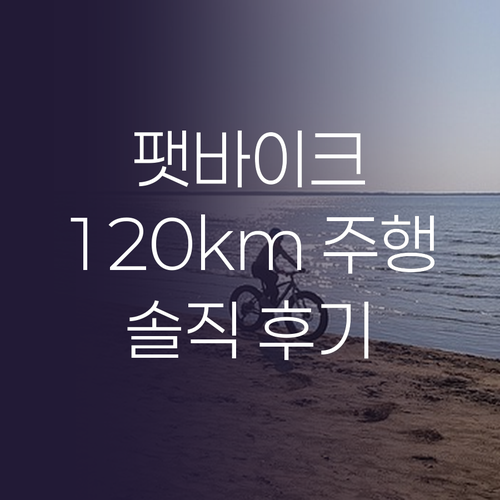 전동 스쿠터 팻바이크, 120km 주..