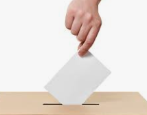 2025년 대통령 선거 이색 투표소