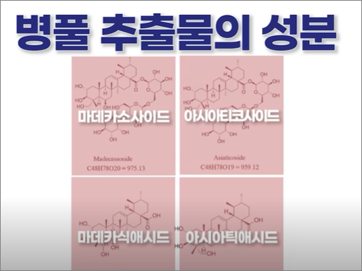 병풍추출물의 성분