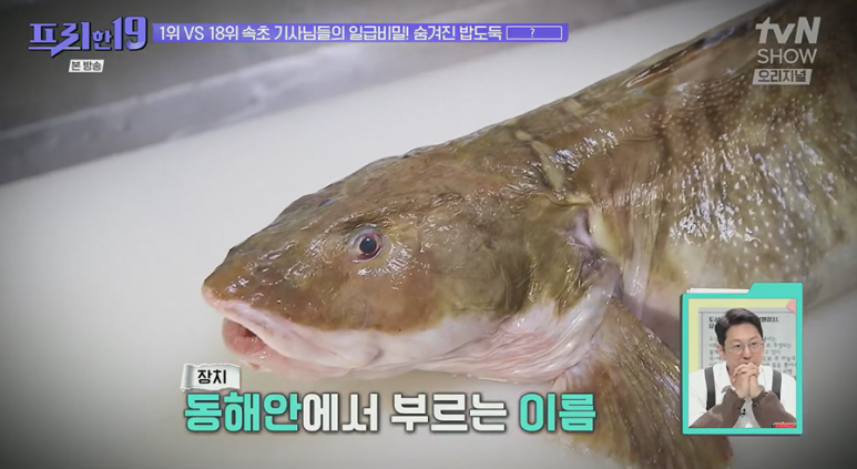 프리한19 속초 기사님들 맛집 생물 장치 조림 콩새식당