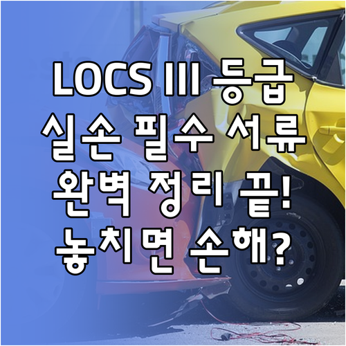 LOCS III 등급 백내장 실손보험..