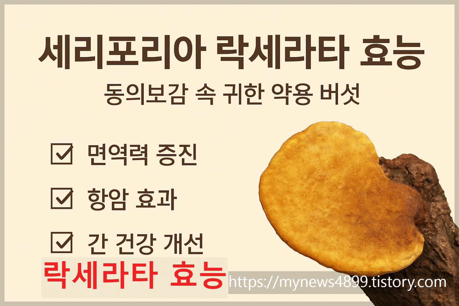 세리포리아 약용사진