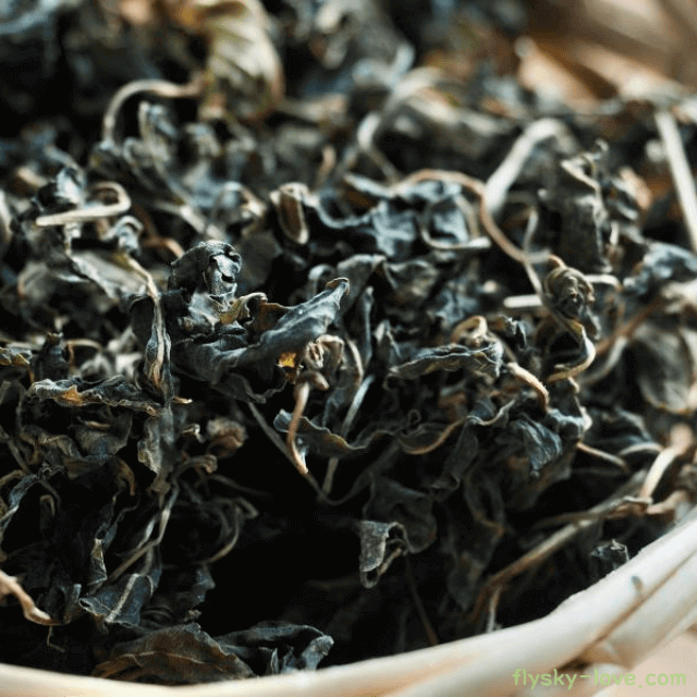 고춧잎 먹는 방법