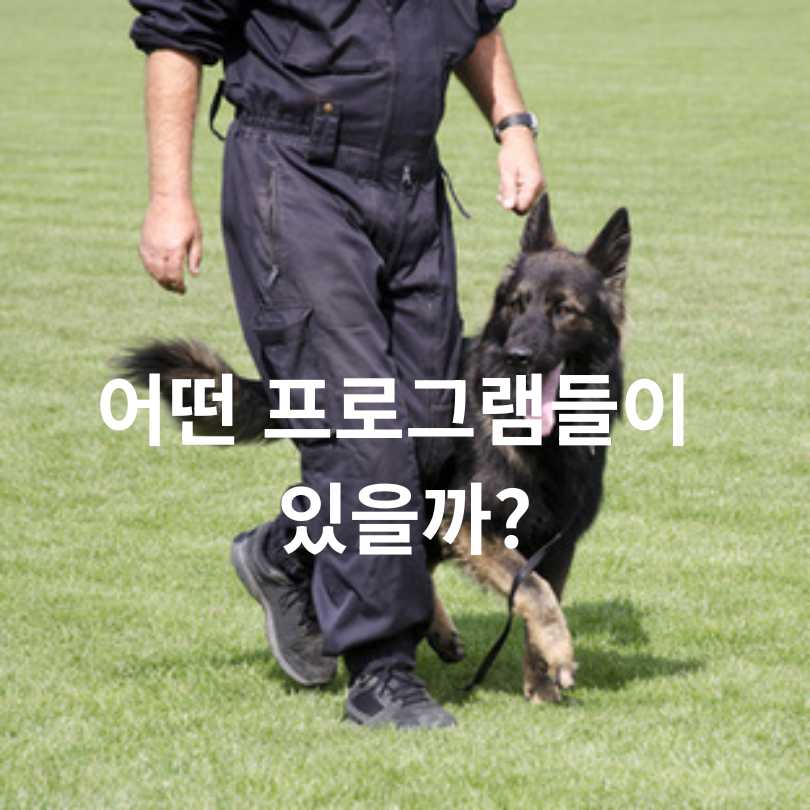 서울 반려동물 시민학교 신청 방법 총정리