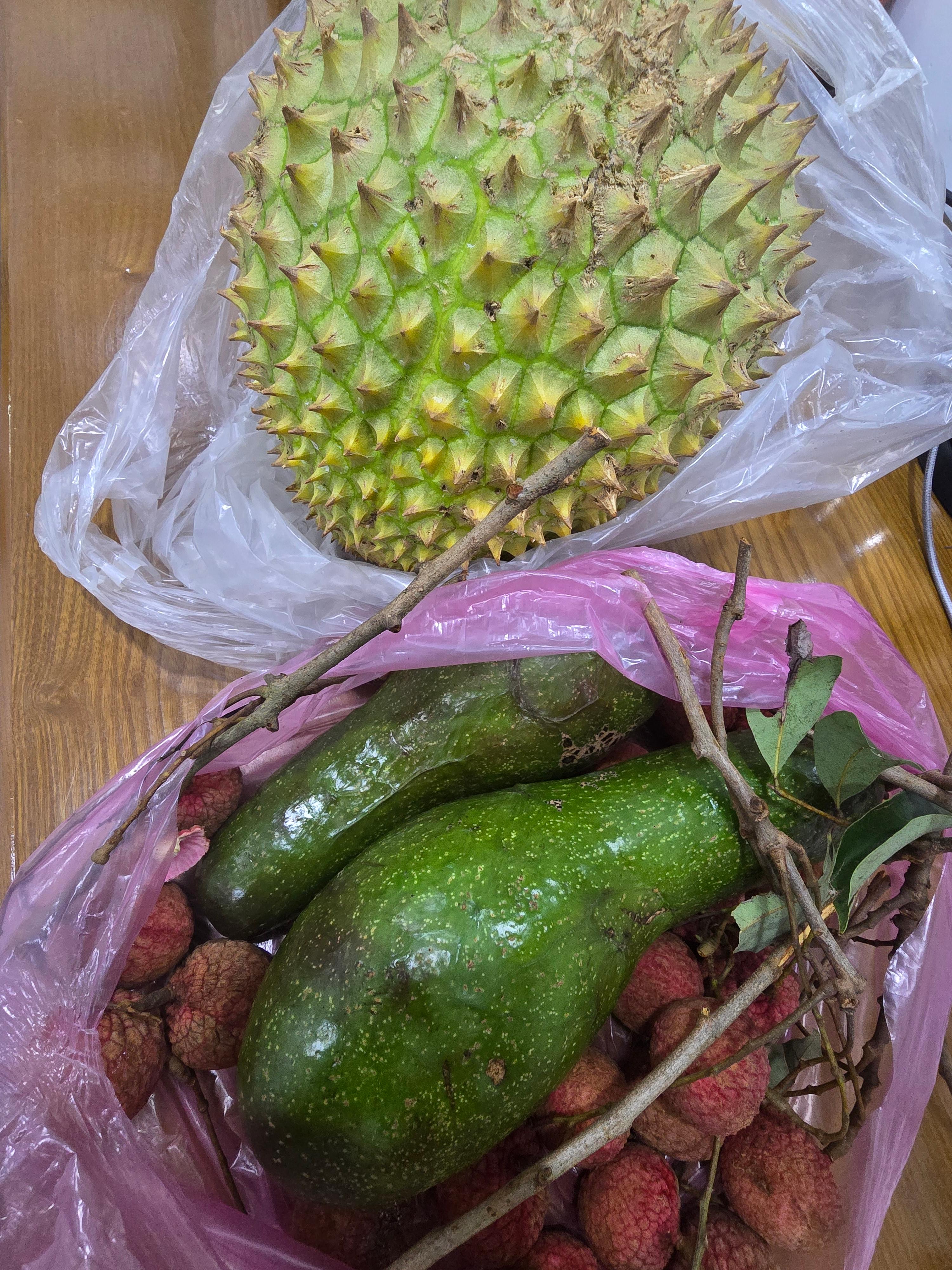 오늘 받은 위로의 과일들 한 컷(Em ơi) 마음, 비닐봉지에 담긴 두리안 한 통