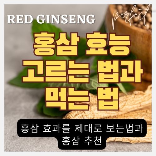 지금껏 몰랐던 홍삼 효능과 먹는 법 (진액, 종류별 진세노사이드 함량, 발효홍삼, 컴파운드K, 사포닌) 썸네일