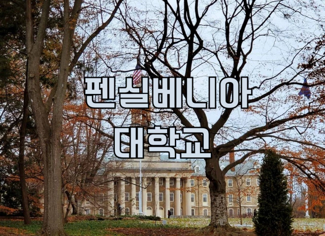 펜실베니아/대학교