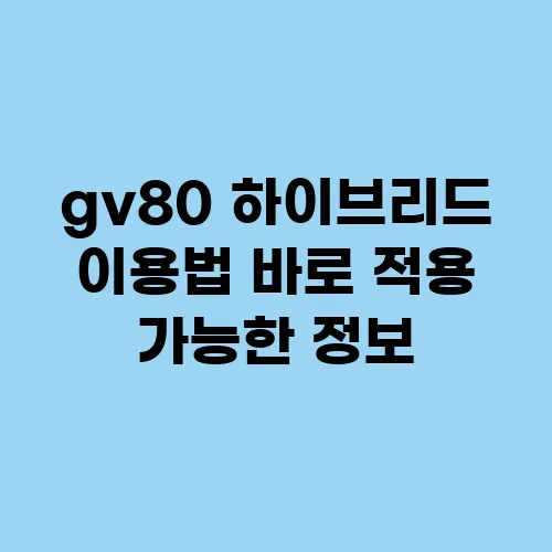 gv80 하이브리드 이용법 바로 적용 가능한 정보