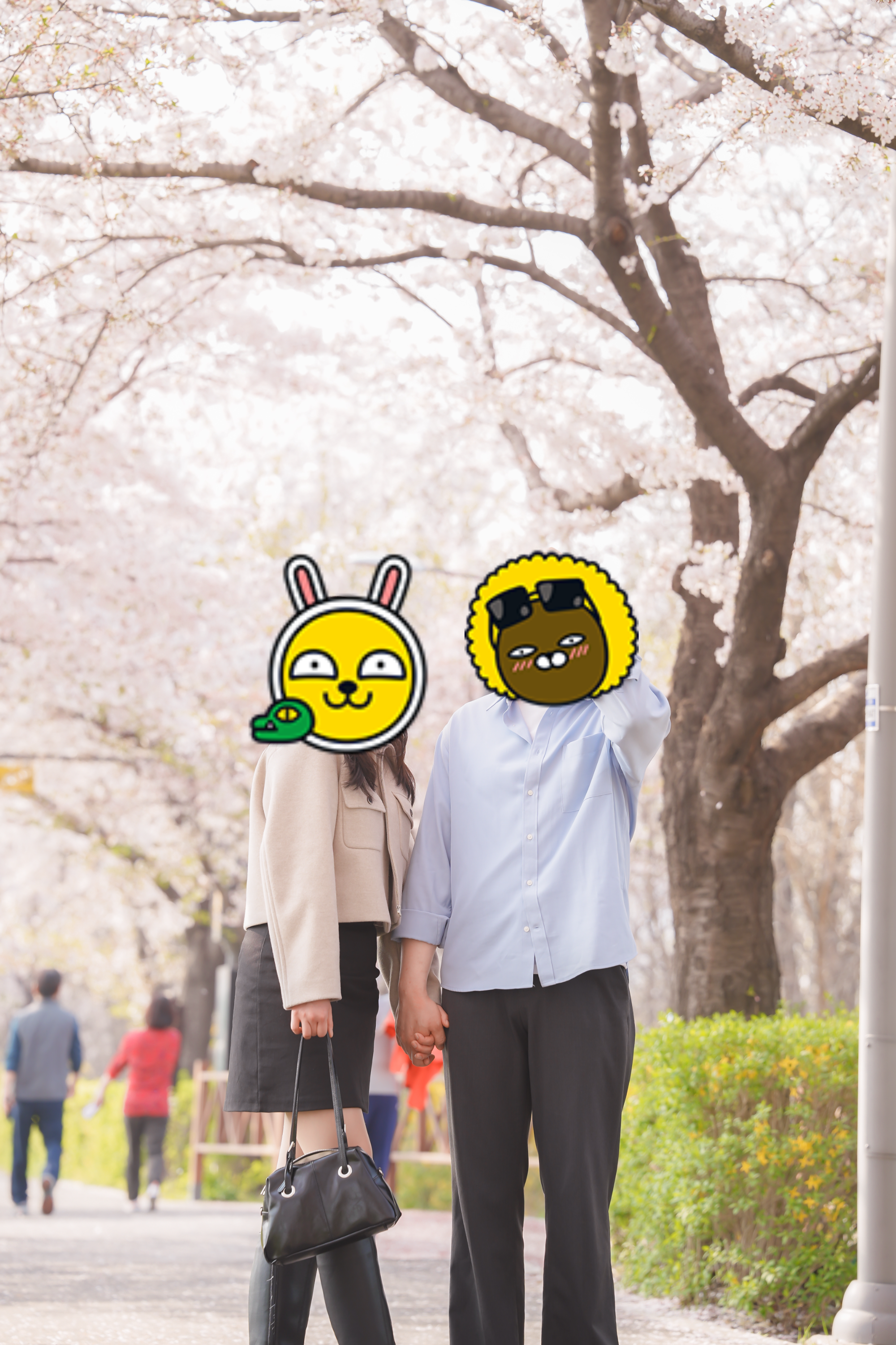 수서 탄천길 벚꽃