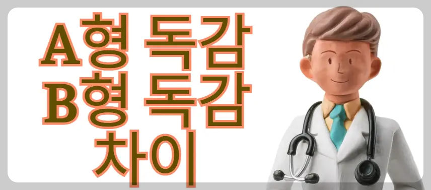 A형독감과 B형독감 차이