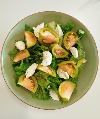 대저 토마토 짭짤이 부산 가격비교 활용법 구입요령