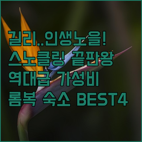환상적인 노을과 스노클링을 한 번에 ..