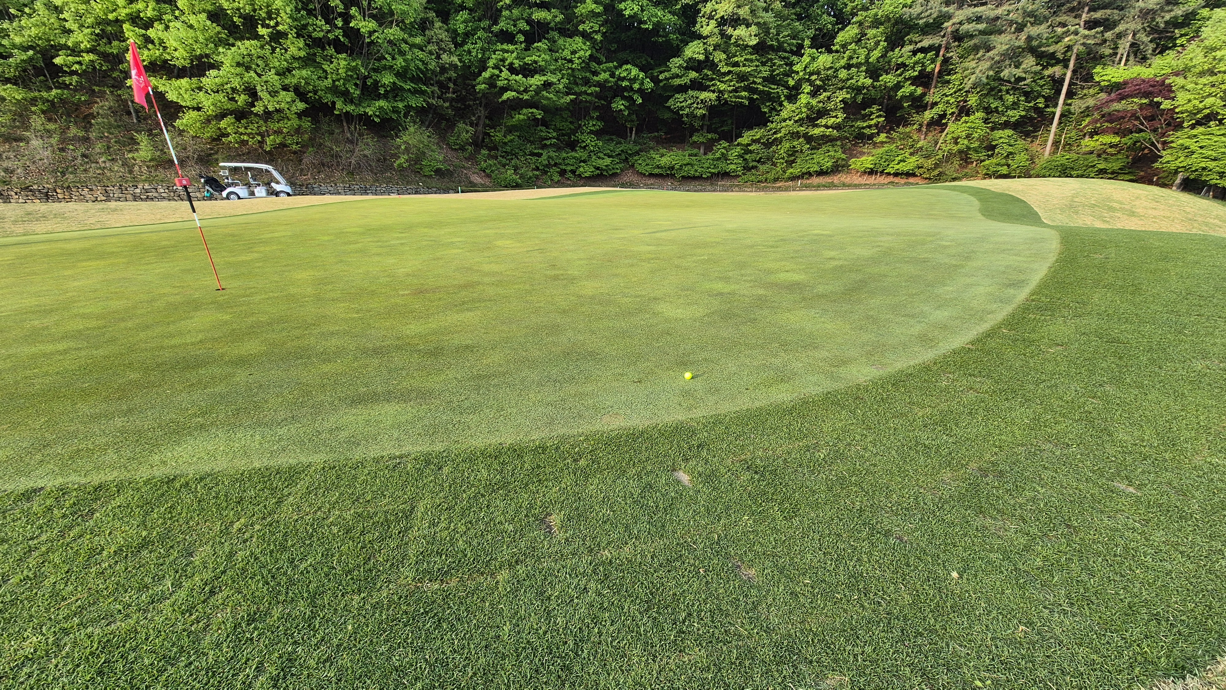 마에스트로cc 라운드 후기