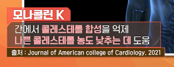 홍국 발효 구기자 효능