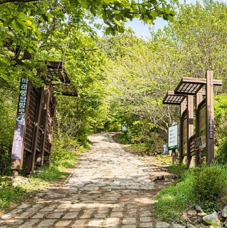 지리산바래봉-등산코스