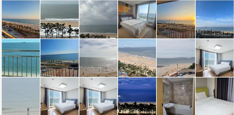 대천 머드비치 호텔 (Daecheon Mud Beach Hotel)