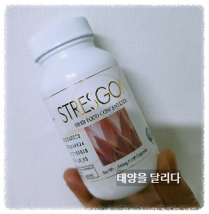 이엑셀 스트레스곤