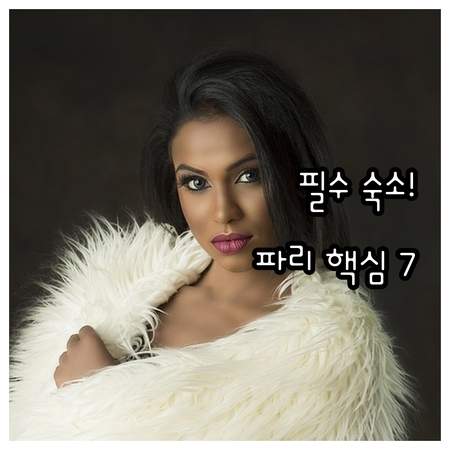 파리 호텔 완벽 가이드 핵심 지역별 ..