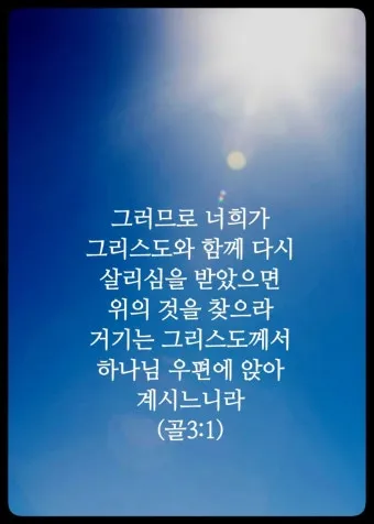 골로새서 3장 23절 묵상 - 무엇을 하든지 마음을 다하여 주께 하듯 하고_12