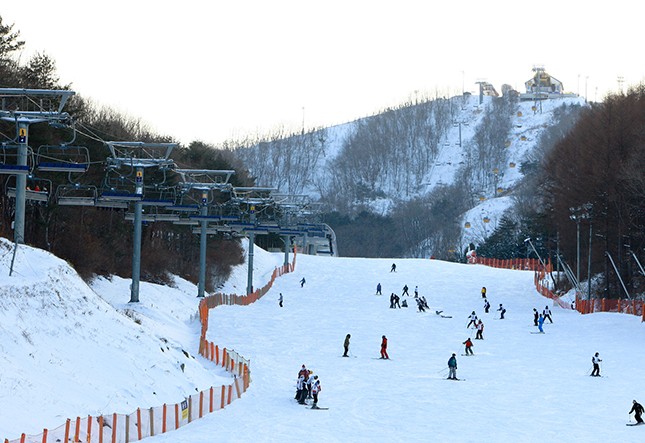신나는 겨울 강원도 스키장 추천 - 휘닉스평창스노우파크, 용평스키장, 홍천 비발디파크 스키장, 횡성 휘닉스평창스노우파크