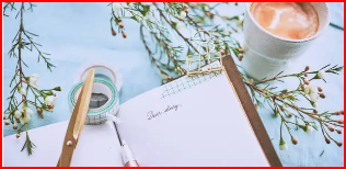 잔잔한 달빛이 드리운 고요한 숲속 풍경"