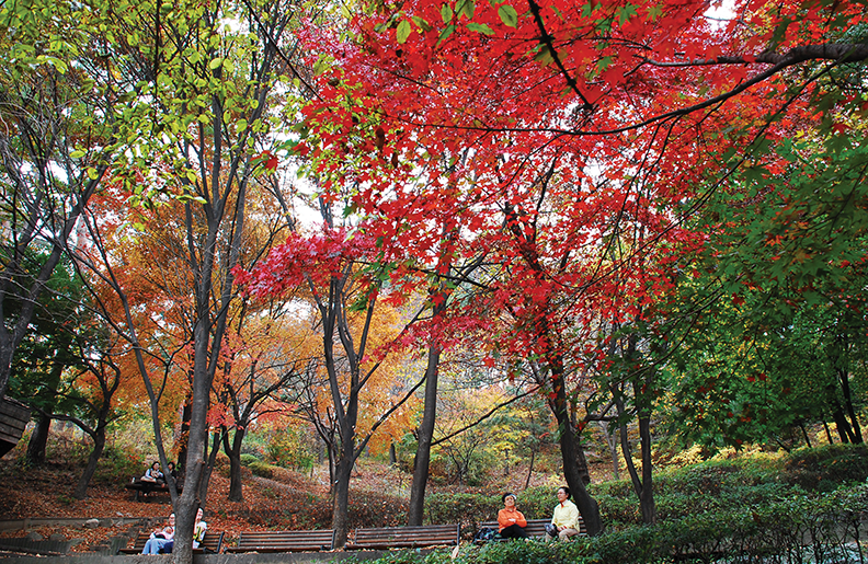 경기도 수원 단풍명소 BEST 07 가을 나들이 가볼만한곳