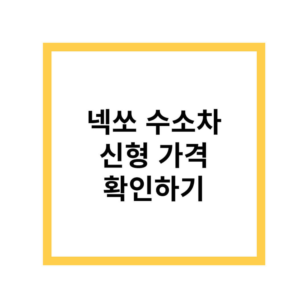 넥쏘 수소차 가격