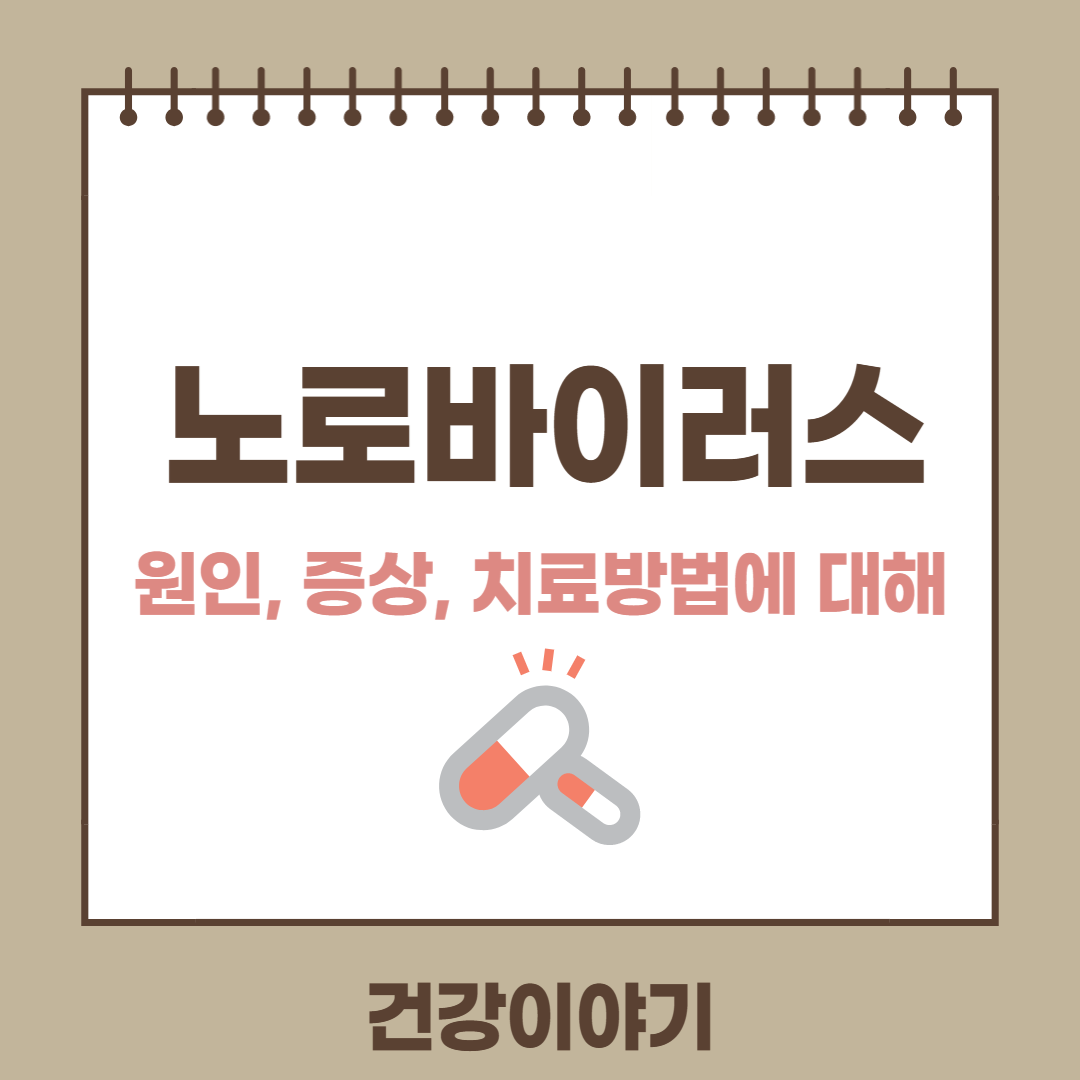 노로바이러스 장염의 원인 증상 치료방법