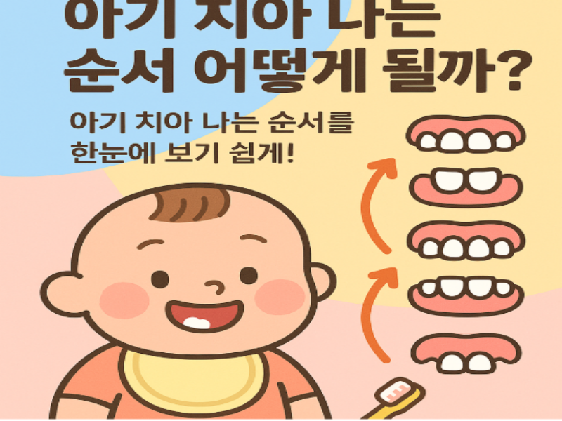아기 치아 나는 순서