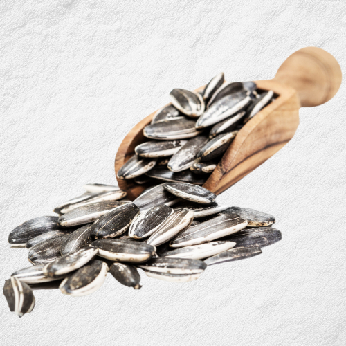 지방간에 좋은 음식 해바라기씨