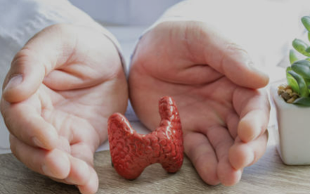 갑상선기능저하증증상좋은음식