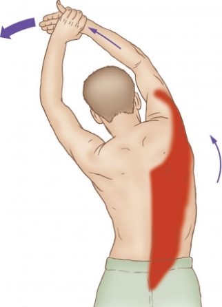 광배근 스트레칭 이미지