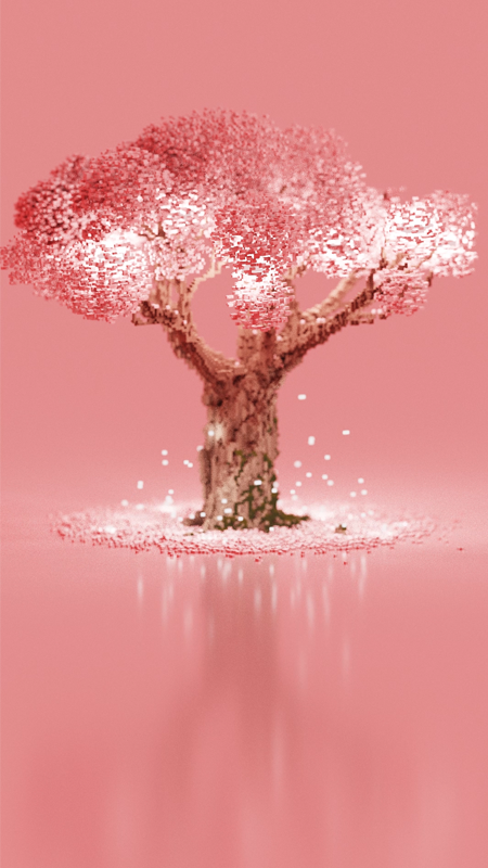 cherry blossoms rising to the light, cherry blossoms, spring, voxel