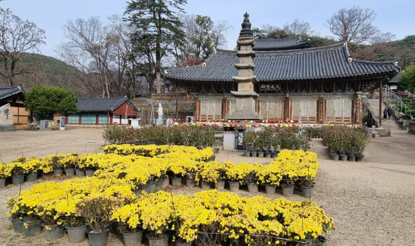 공주 동네별 세부 분석 — 공주는 ‘동네 선택’이 생활 만족도를 좌우하는 도시