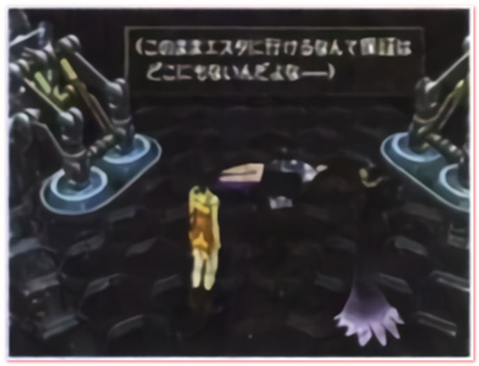 어디로 실려가는 것일까?