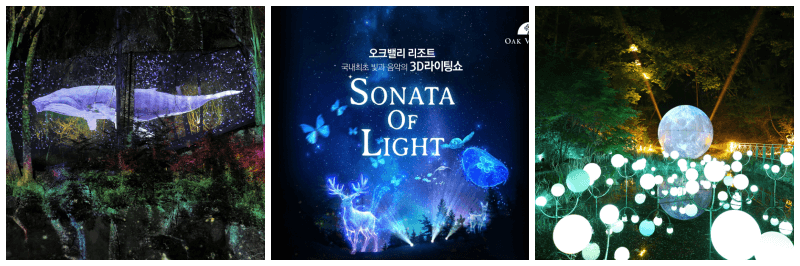 오크밸리 3D 라이팅쇼 소나타오브라이트 포스터&#44; 사진