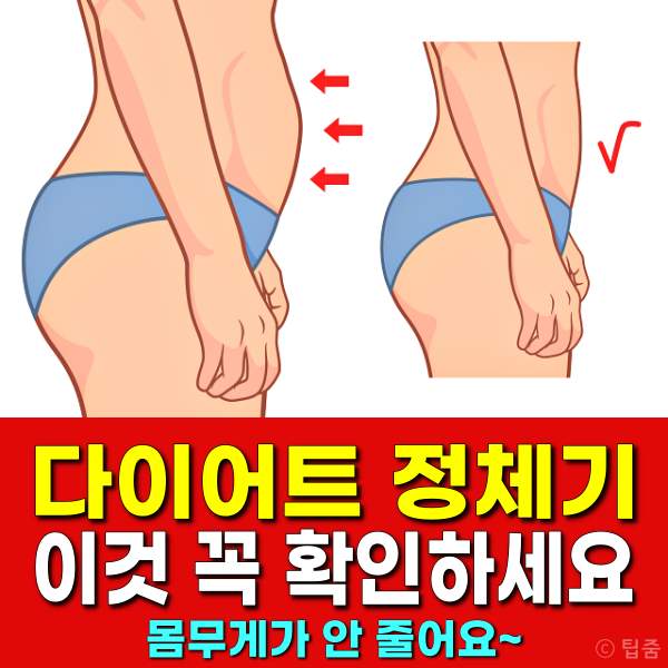 다이어트 정체기 탈출 몸무게가 안줄어요