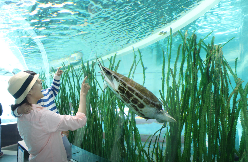 국립해양박물관1