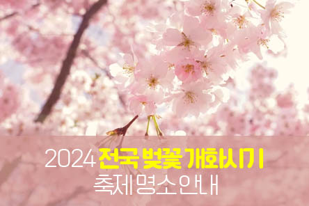 전국-벚꽃-개화시기