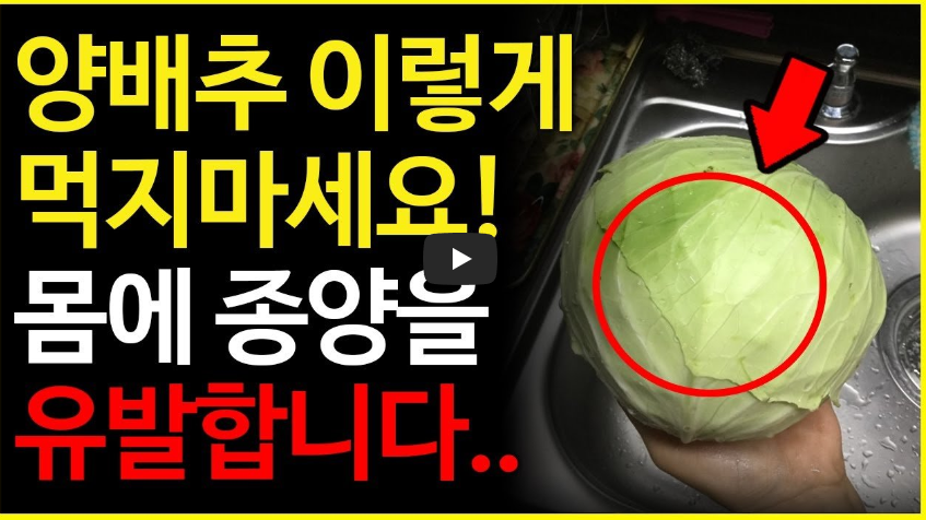 양배추 효능 및 절임 양배추 만들기 영상