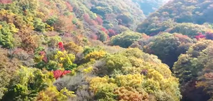2023년 단풍시기