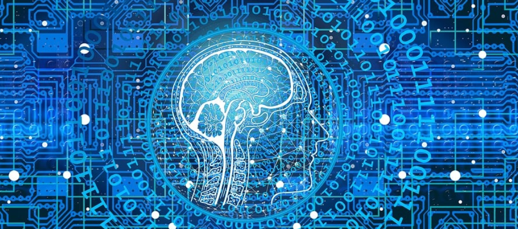 사람 얼굴 모양의 데이터