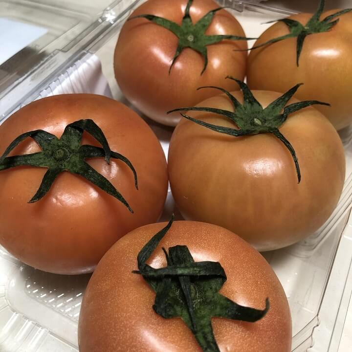 스테비아-토망고